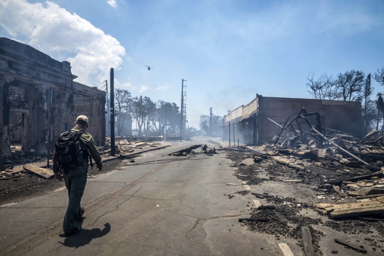 Burned cars and destroyed buildings on Front Street after the Lahaina wildfire